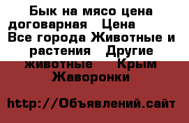 Бык на мясо цена договарная › Цена ­ 300 - Все города Животные и растения » Другие животные   . Крым,Жаворонки